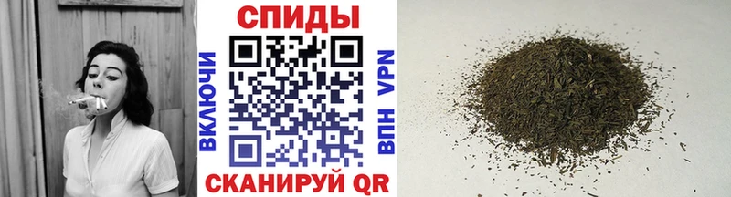 магазин    Великий Устюг  блэк спрут ссылки  БУТИРАТ BDO 33% 
