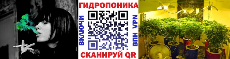 Каннабис AK-47  сколько стоит  Великий Устюг 